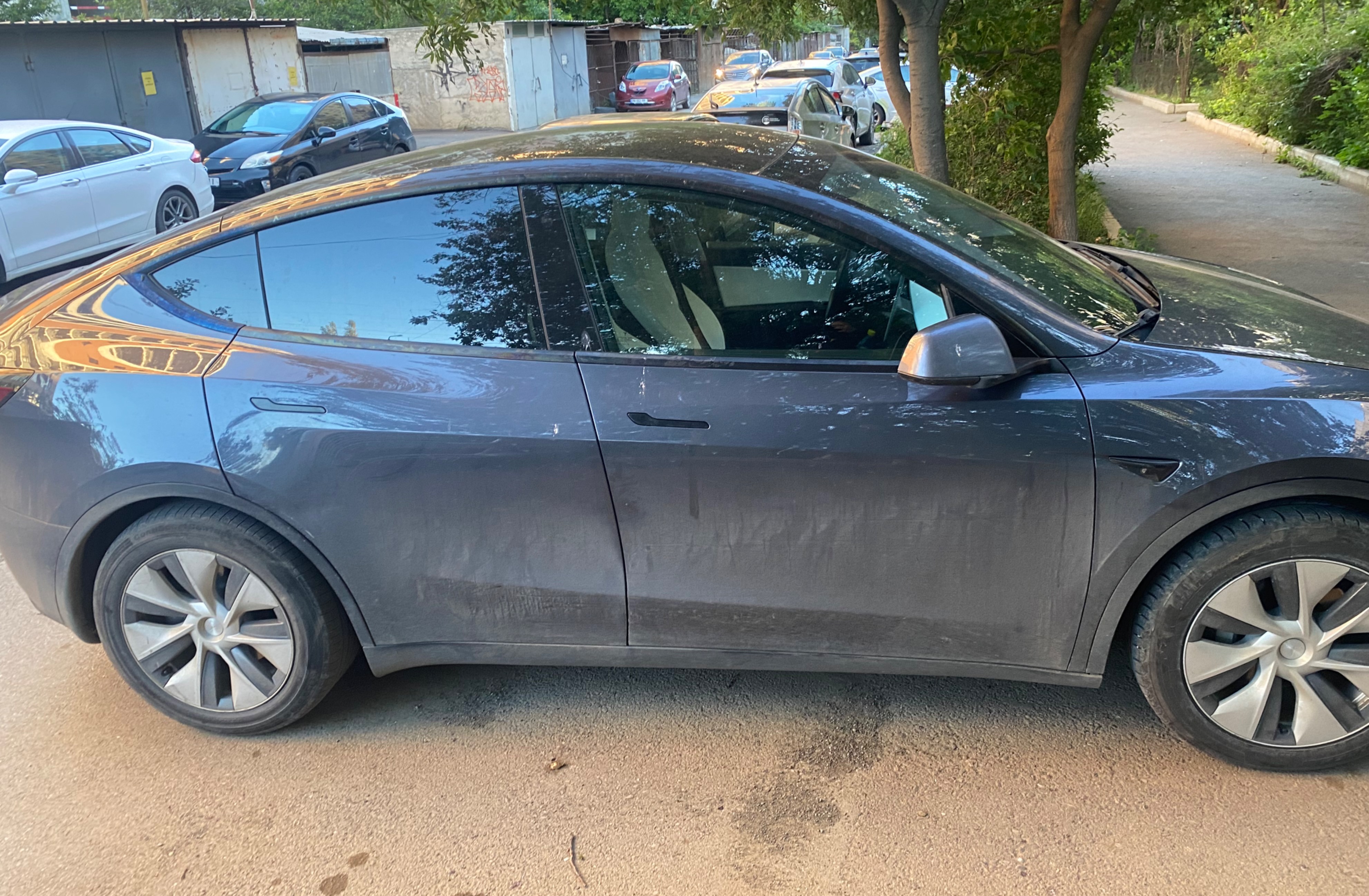 Model Y