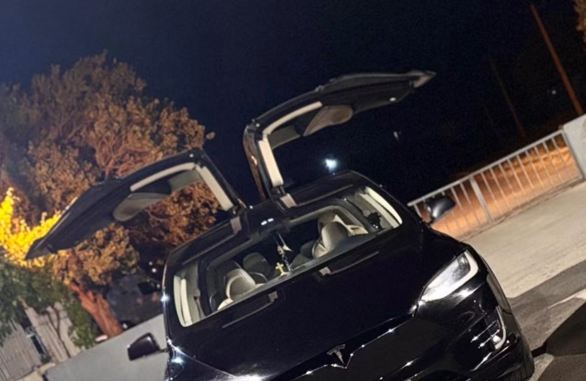 Model x
