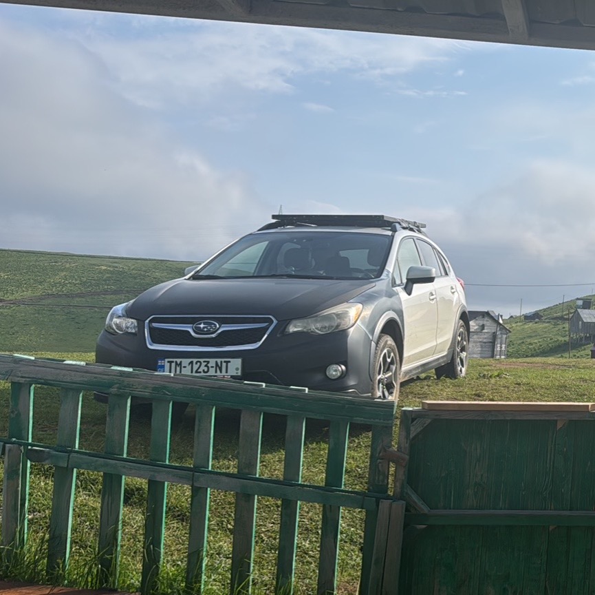 xv