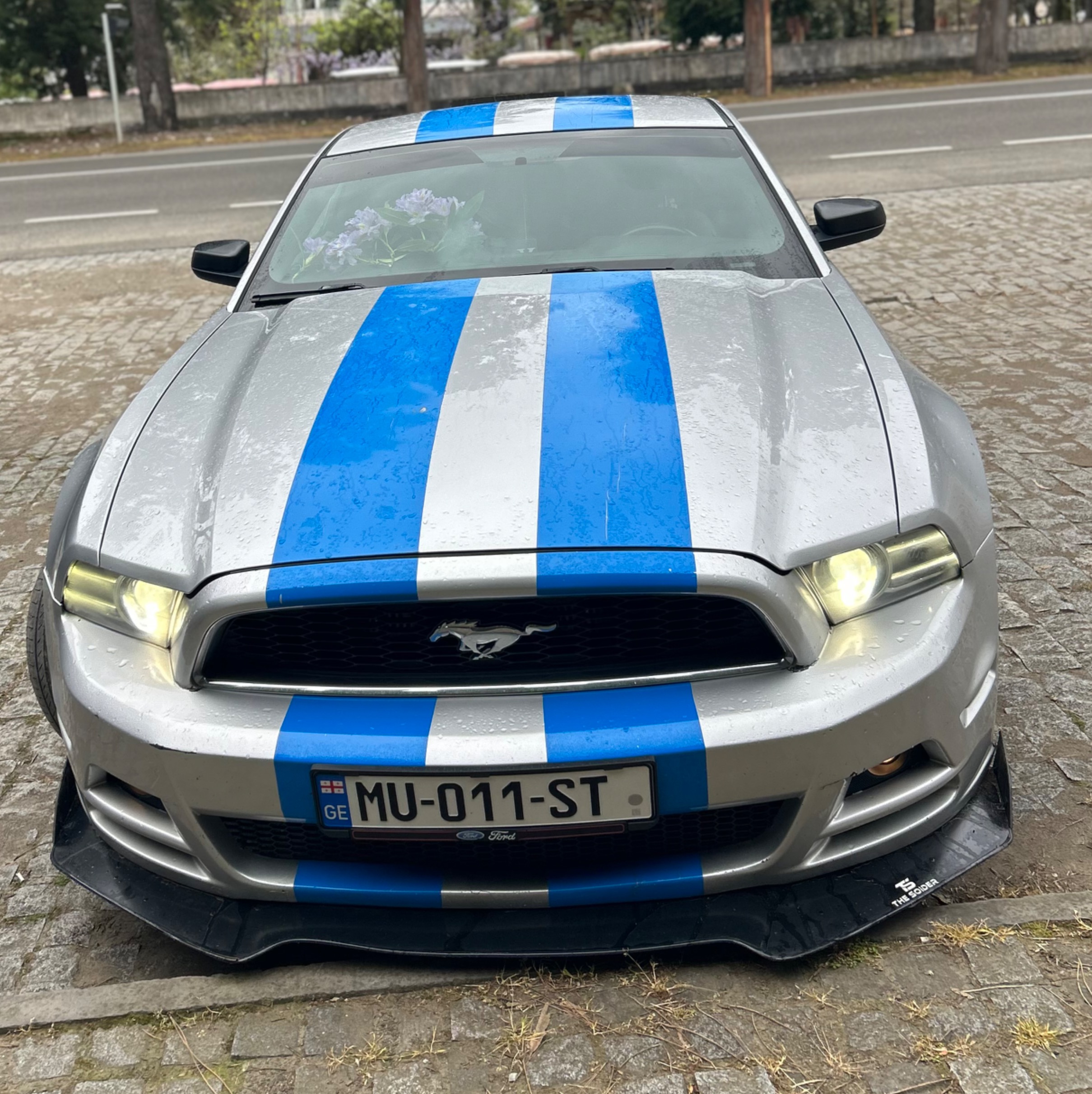 Mustang 